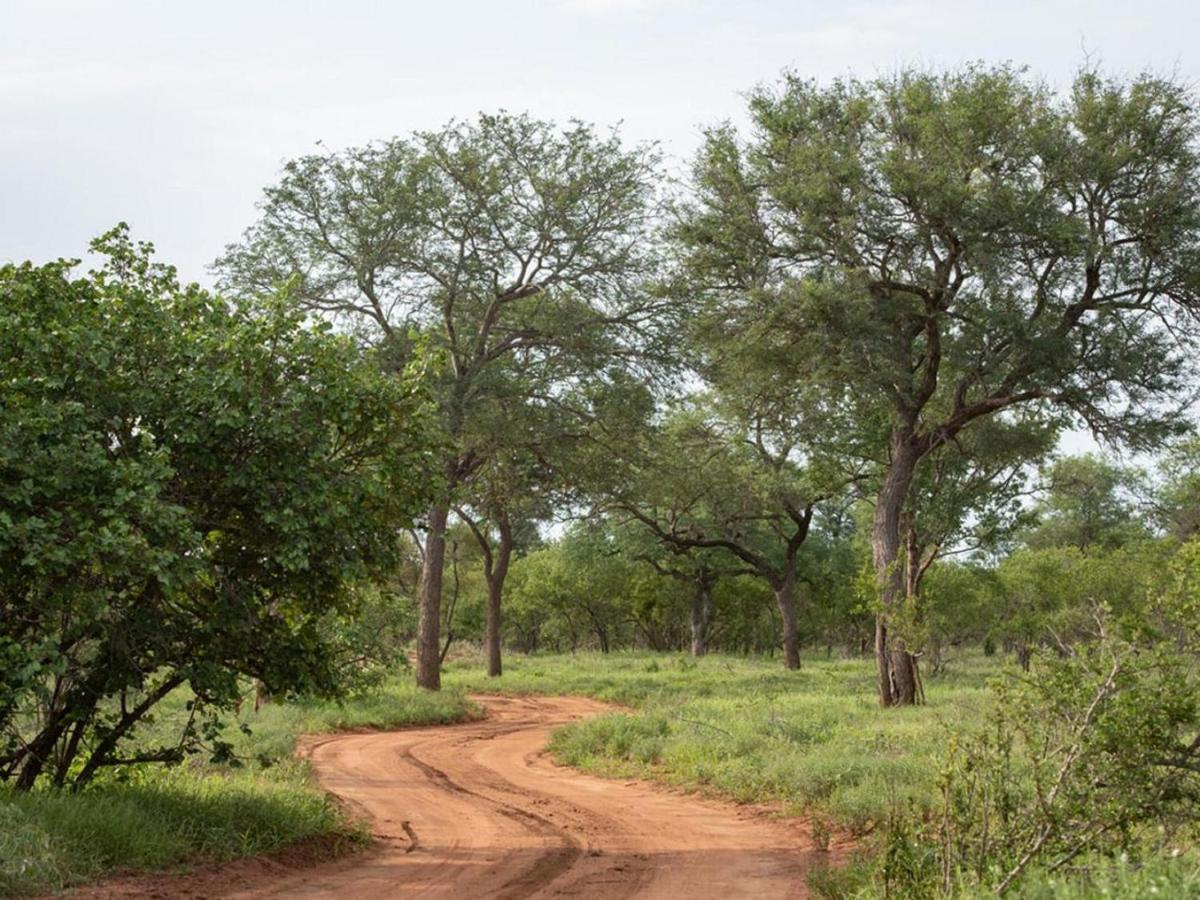 Ujabule Lodge Hoedspruit Εξωτερικό φωτογραφία